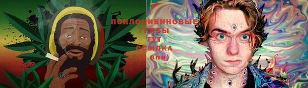 спиды Краснослободск