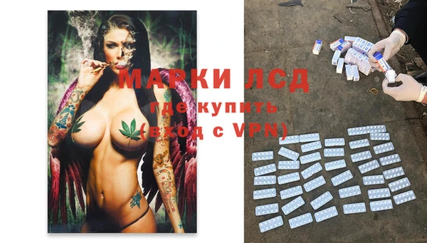 спиды Краснослободск