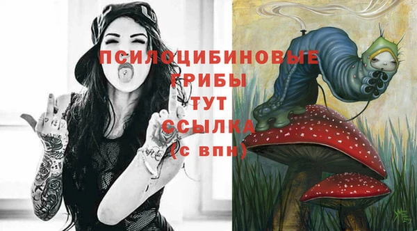прущие крисы Костерёво