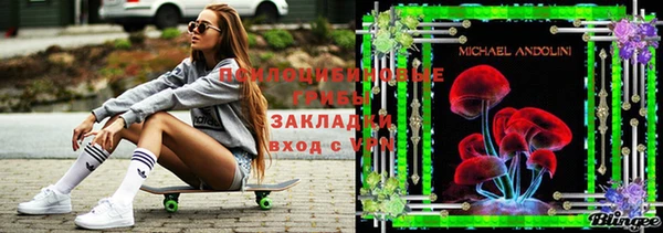 ПСИЛОЦИБИНОВЫЕ ГРИБЫ Кукмор