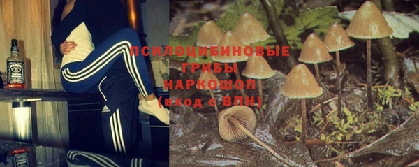 спиды Краснослободск