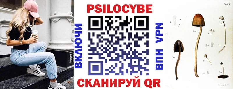 хочу наркоту  площадка состав  Галлюциногенные грибы Psilocybine cubensis  Пестово 
